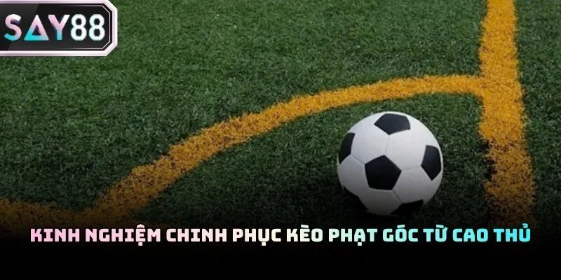 Kèo phạt góc và những mẹo hay đến từ cao thủ cá cược tại Say88